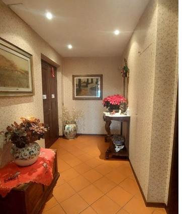 Foto1