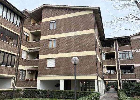 Foto1